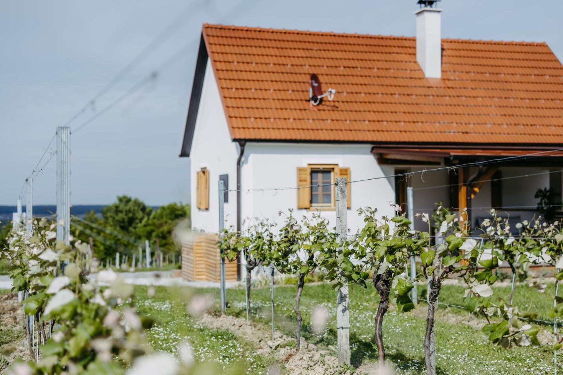 Urlaub Im Kellerstoeckl Dunst Apartman Strém Szoba fotó