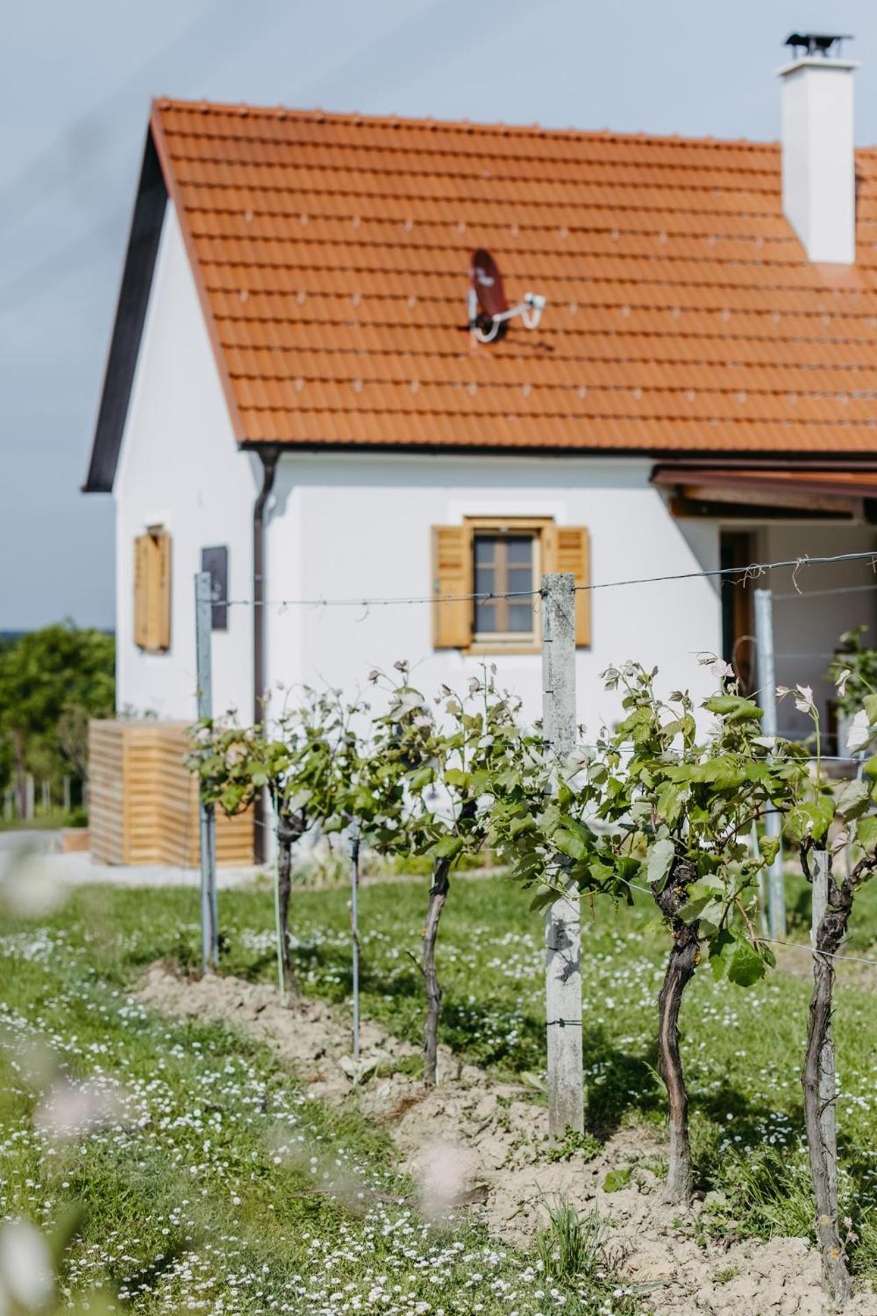 Urlaub Im Kellerstoeckl Dunst Apartman Strém Szoba fotó